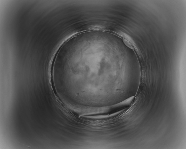 X0000088481435200705291618