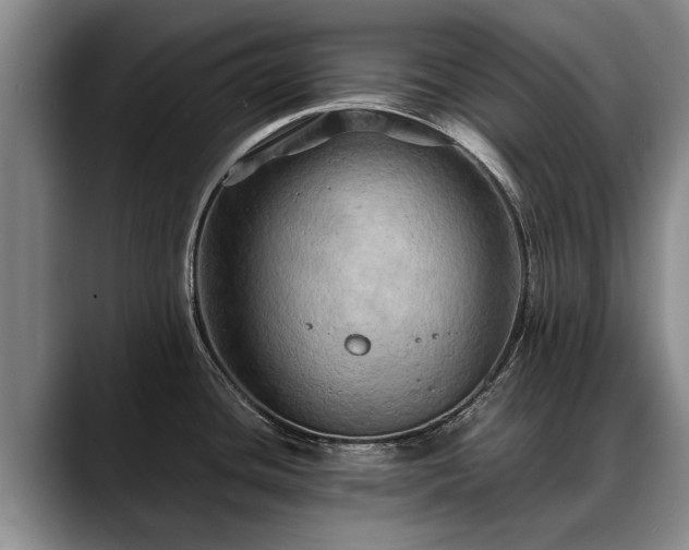X0000088481436200705291618