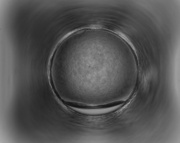 X0000088481437200705291618
