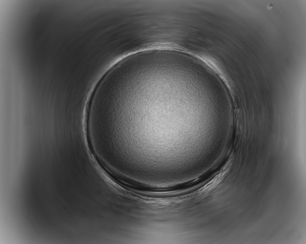 X0000088481438200705291618