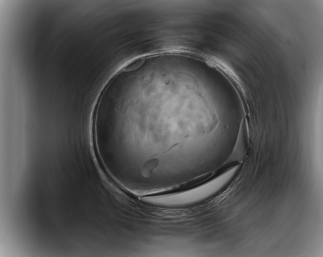 X0000088481439200705291618