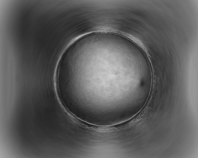 X0000088481440200705291618