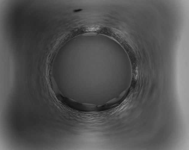 X0000088481441200705291618