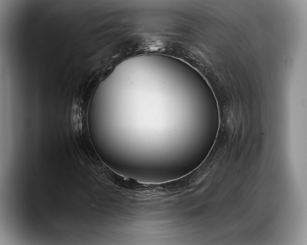X0000088481442200705291618