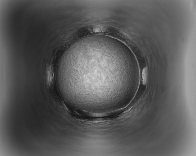 X0000088481443200705291618