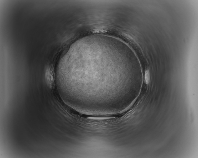 X0000088481444200705291618