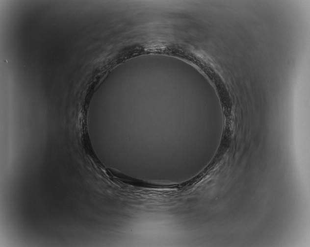 X0000088481445200705291618