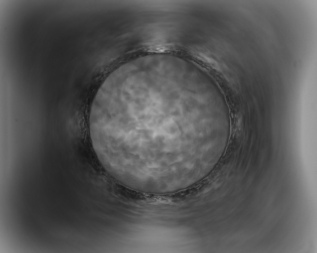 X0000088481446200705291618