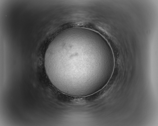 X0000088481447200705291618