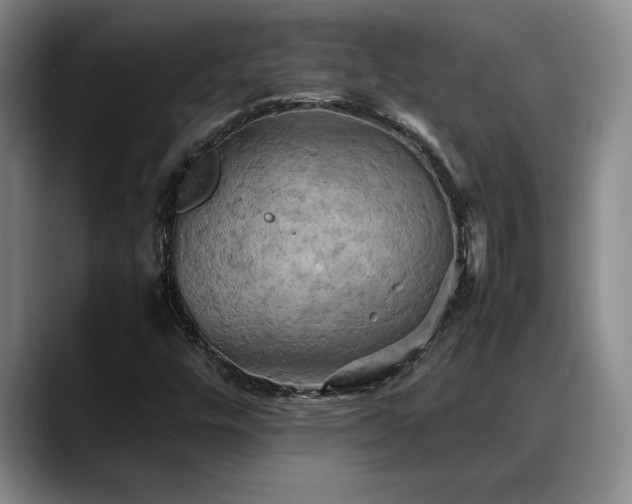 X0000088481448200705291618