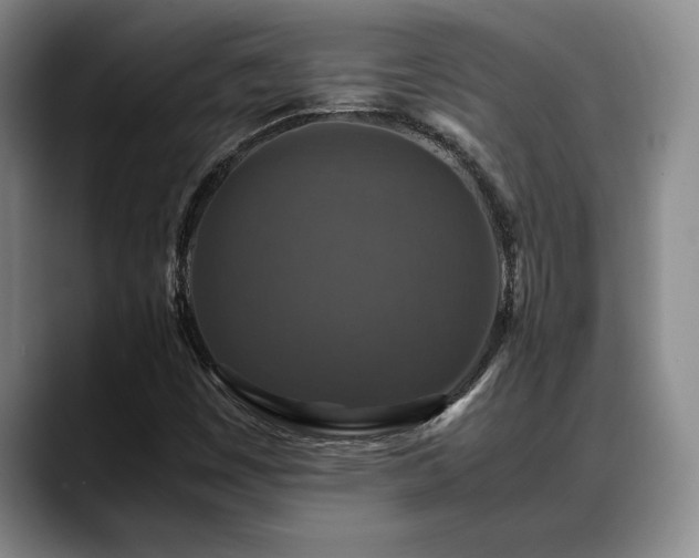 X0000088481449200705291618