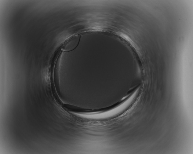 X0000088481450200705291618