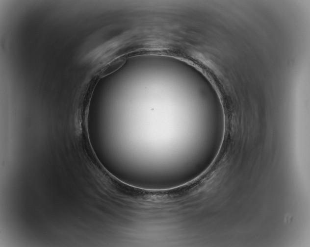 X0000088481451200705291618