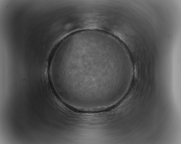 X0000088481452200705291618