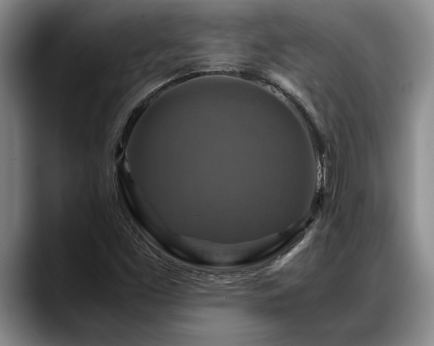X0000088481453200705291618