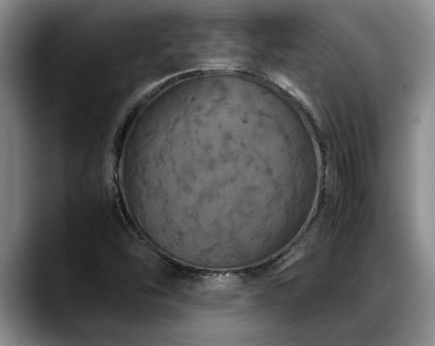 X0000088481454200705291618