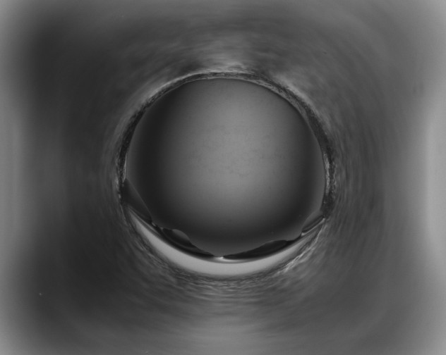 X0000088481455200705291618
