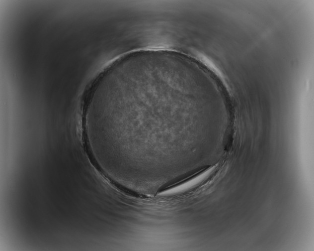 X0000088481456200705291618