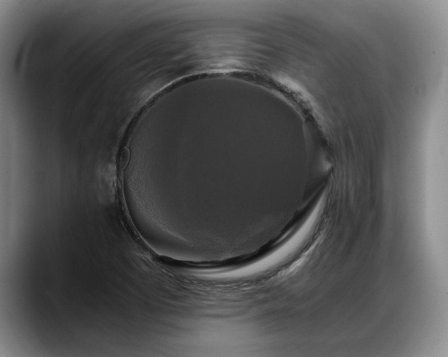 X0000088481457200705291618