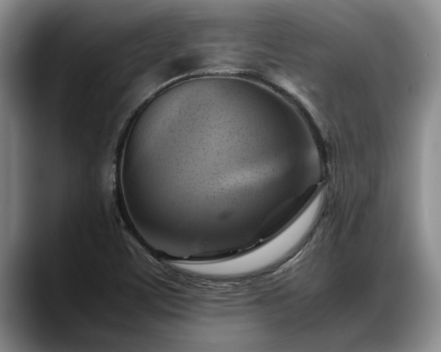 X0000088481459200705291618
