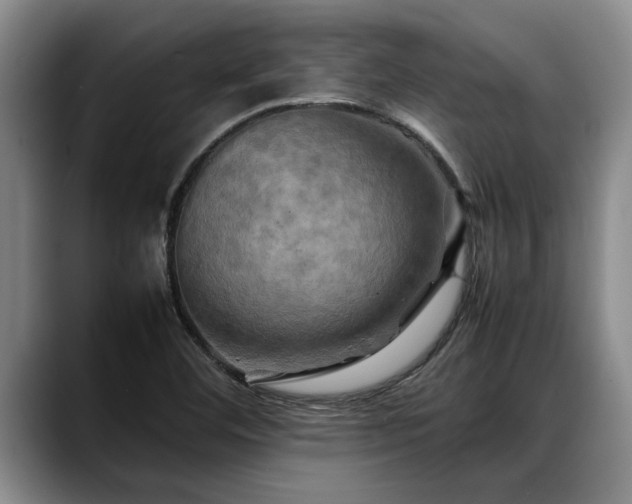 X0000088481460200705291618