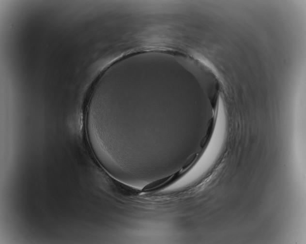 X0000088481461200705291618