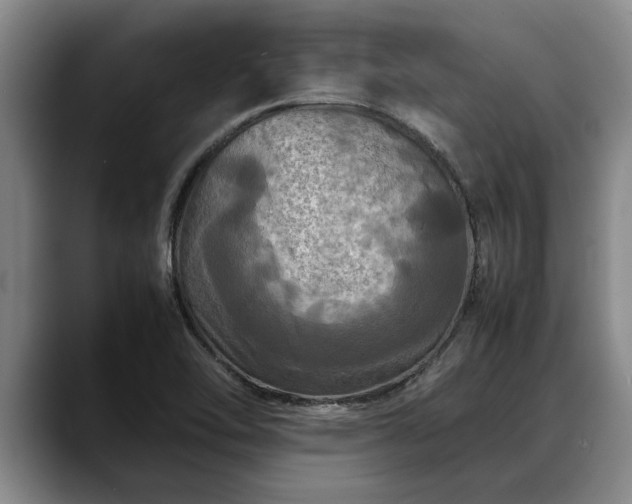 X0000088481462200705291618