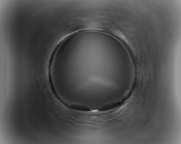 X0000088481463200705291618