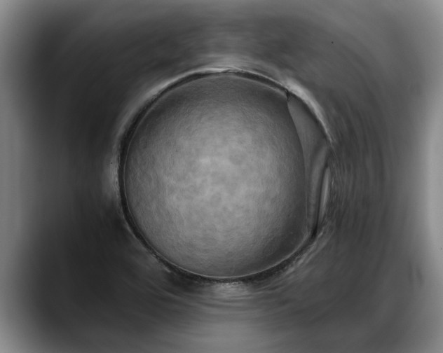 X0000088481464200705291618