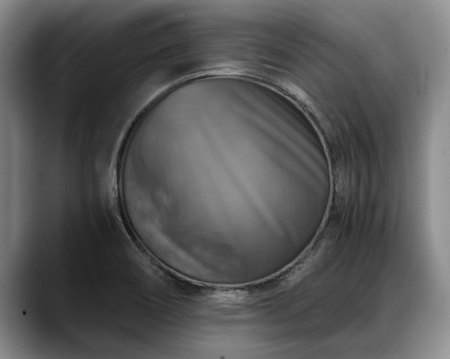 X0000088481466200705291617