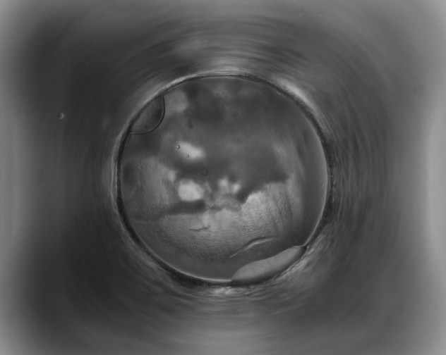 X0000088481467200705291617