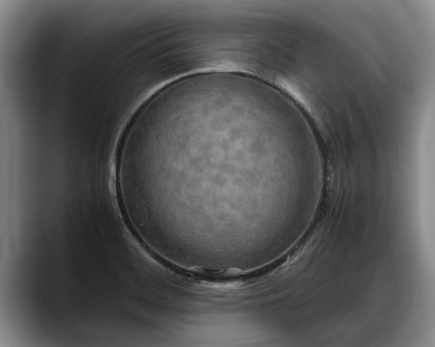 X0000088481468200705291617