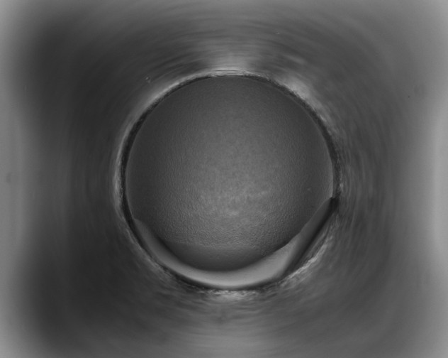 X0000088481469200705291617