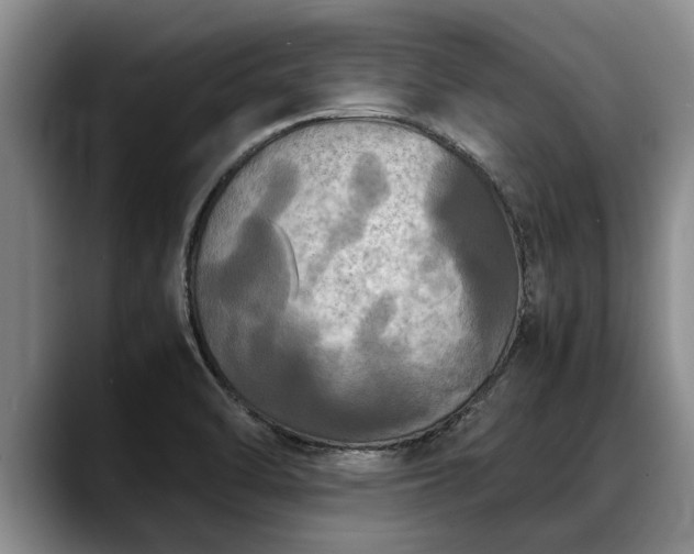 X0000088481470200705291617