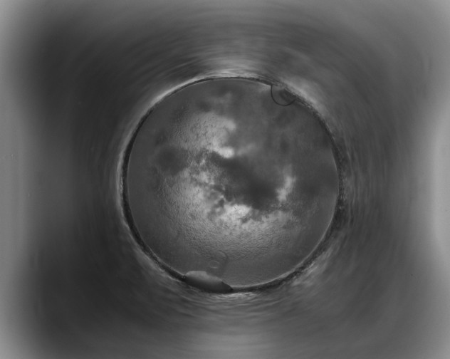 X0000088481471200705291617