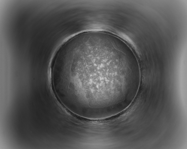 X0000088481472200705291617