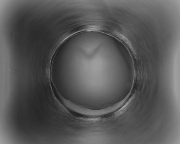 X0000088481473200705291617