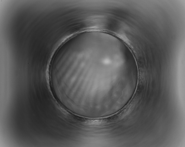 X0000088481474200705291617