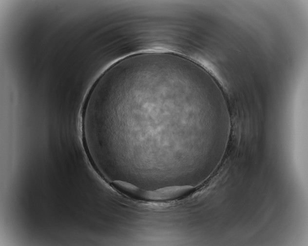 X0000088481476200705291617