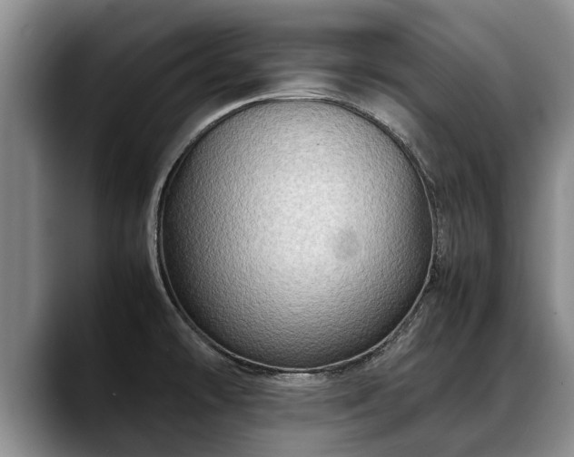 X0000088481478200705291617