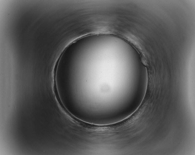 X0000088481479200705291617
