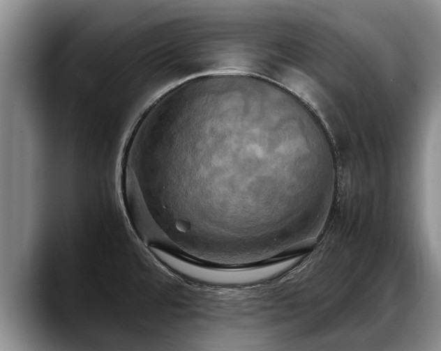 X0000088481480200705291617