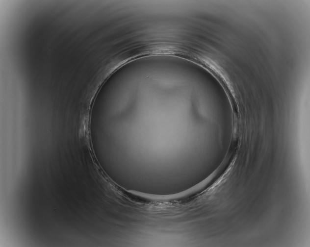 X0000088481481200705291617