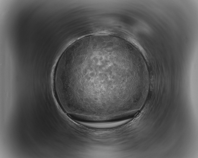 X0000088481483200705291617