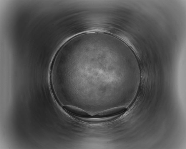 X0000088481484200705291617