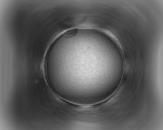X0000088481486200705291617