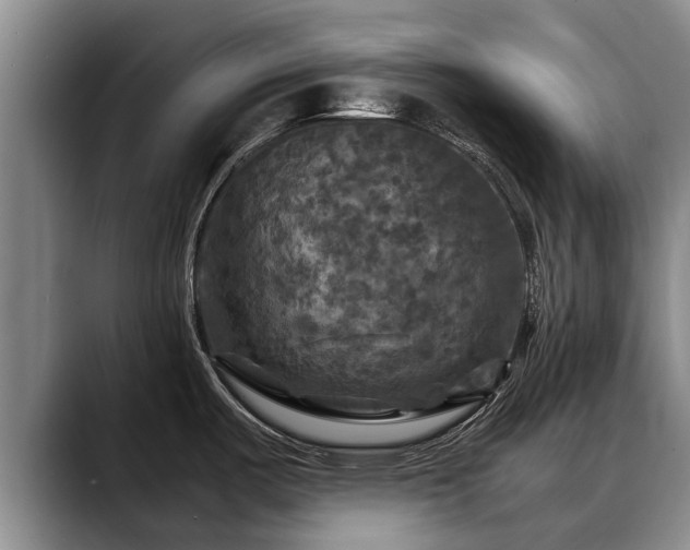 X0000088481487200705291617