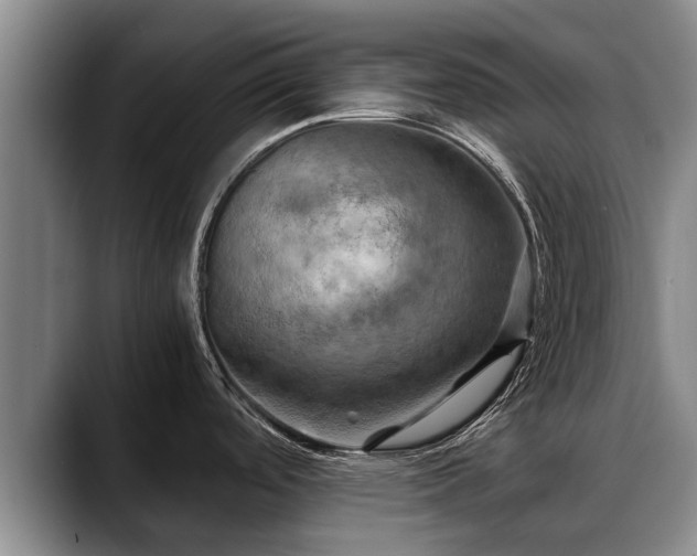 X0000088481488200705291617