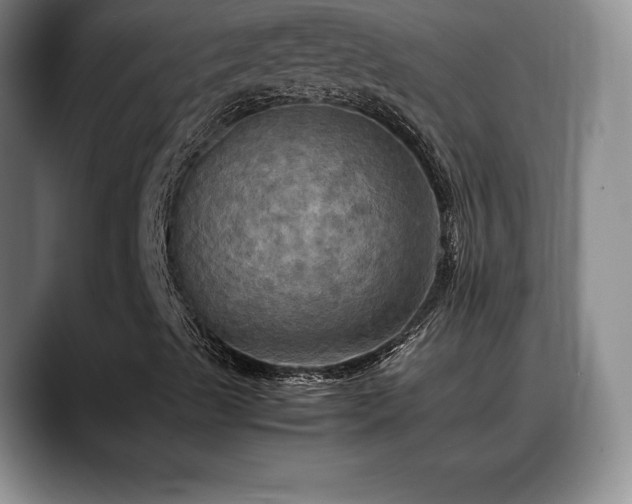 X0000088481489200705291617