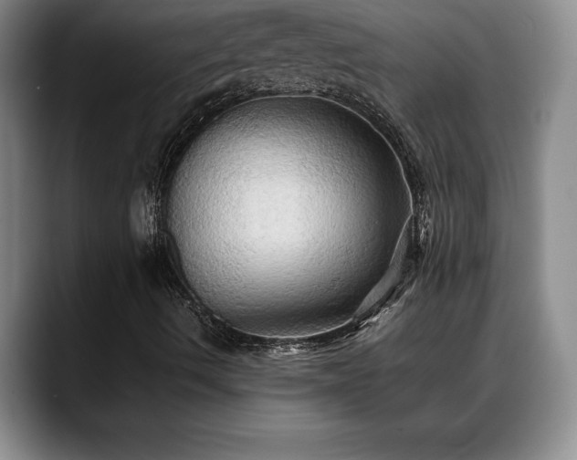X0000088481490200705291617